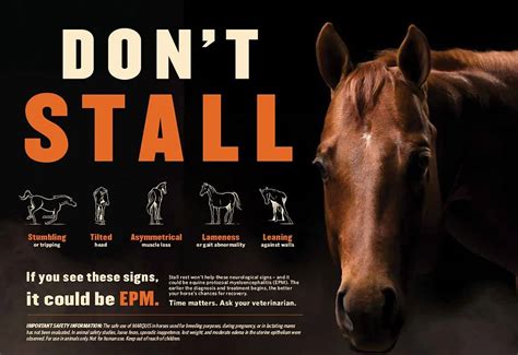 Toltrazuril: A Promising Solution for EPM in Horses.
